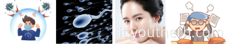 ashwagandha root powder amazon